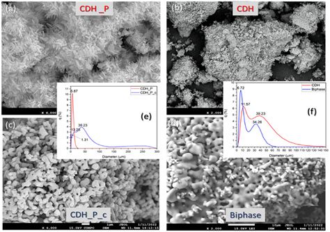 Effect of Processing on Structural and Morphological Changes of ... 
