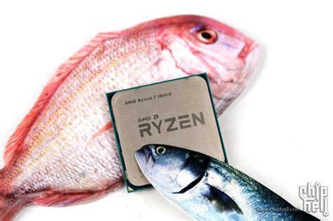 AMD Ryzen 7 1800X Review Leaks Out - AMD's Top 8 Core Vs Intel's Top 8 Core