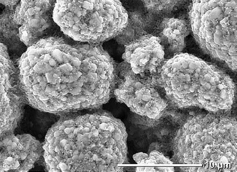 Characterization Of Lib Cathode Slurries Using Simultaneous