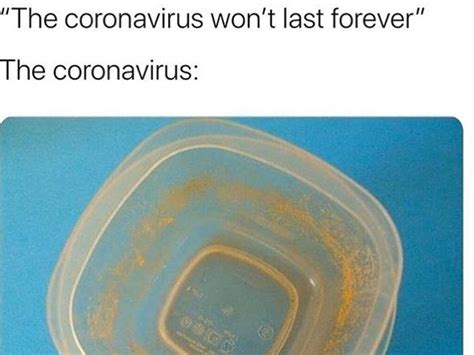 Memes coronavirus: Best COVID-19 memes from Instagram and Twitter | The ...