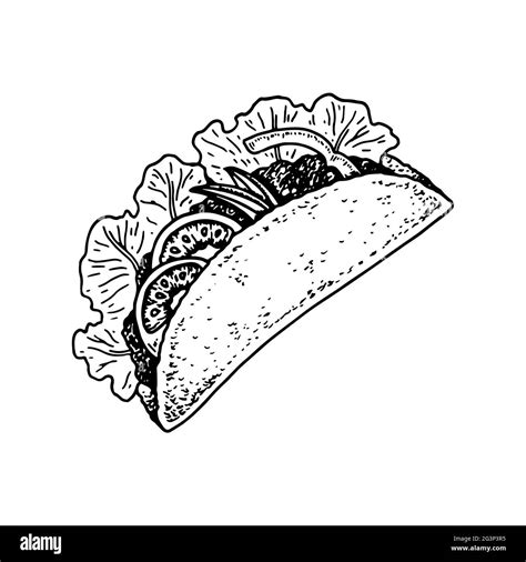 Hand Drawn Mexican Tacos Vector Illustration In Sketch Style Stock