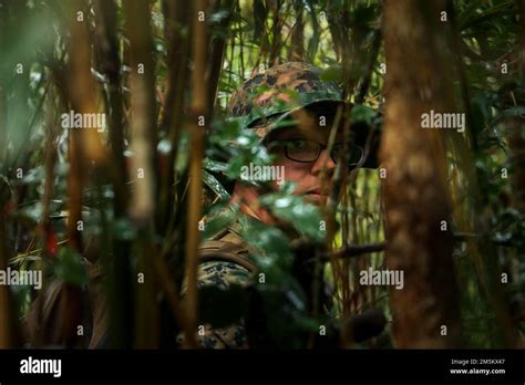 Operaciones De Guerra Terrestre Fotografías E Imágenes De Alta Resolución Alamy