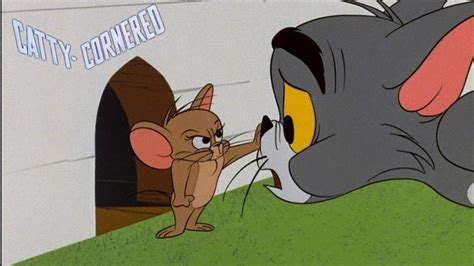 Catty Cornered 1966 Tom And Jerry Cartoon Short Film Review YouTube