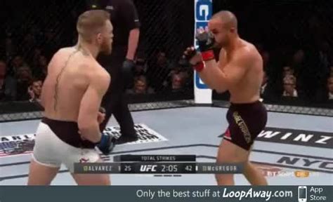 Conor McGregor's knockout combo - LoopAway.com