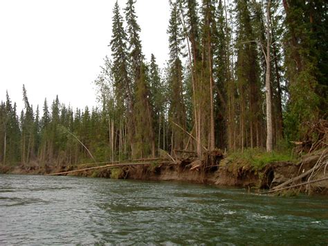 Pelly River Tour - Yukon Wide Adventures