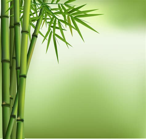 Illustration Of Green Bamboo Grove Isolated With Green Background 5488864 Vector Art At Vecteezy