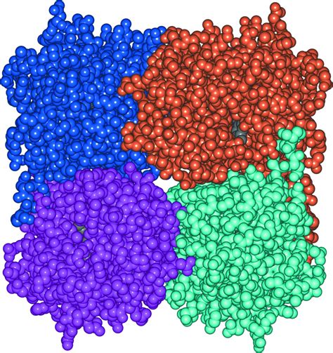 (IUCr) Macromolecular complexes in crystals and solutions