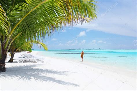 Woman In Bikini Under Palm Stock Photo By Yellow2j 7203353