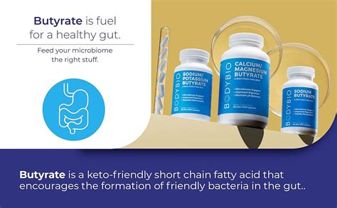 BodyBio Butyrate with Sodium - Supports Healthy Digestion, Gut ...