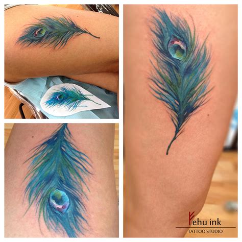 Watercolor peacock feather by ellegottzi on DeviantArt