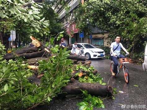 台风过后的东园横路广东天气 广州天气 中国广州发布东园天气台风新浪新闻