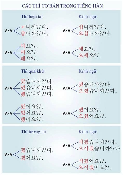 Cách Chia động Từ Theo Các Thì Tiếng Hàn Cơ Bản Trang ThÔng Tin Du HỌc