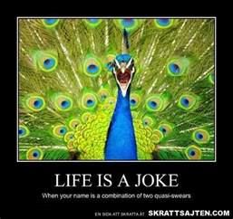 Funny Peacock Quotes. QuotesGram