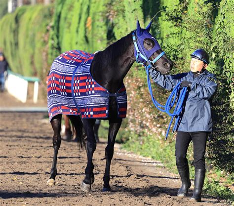 【ジャパンc】ユーバーレーベンは活気十分 手塚貴久調教師「外枠はいいんじゃないか」 Umatoku 馬トク