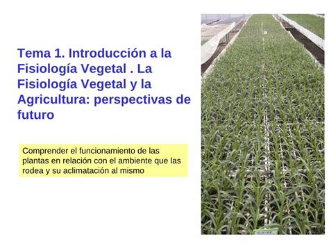 PDF Tema 1 Introducción a la Fisiología Vegetal La de