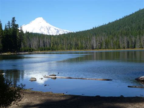 Frog Lake Campground Oregon - Mount Hood | Oregon camping, Mount hood ...