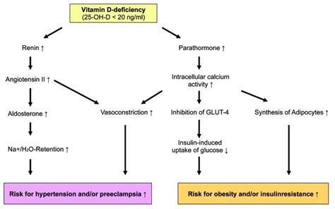 Vitamin D Deficiency And Development Of Hypertension And Insulin