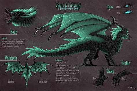 Blacktalons Reference Sheet By Blacktalons On Deviantart Fantasy