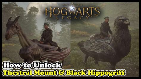 Hogwarts Legacy How To Unlock Beast Mounts Polygon 59 Off