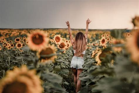 Wallpaper Women Outdoors Sunflowers Arms Up Jean Shorts Field