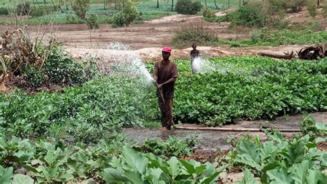 Sangalkam Acc S Aux Fonds Verts Des Organisations Sensibilisent Les