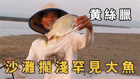 小漁清晨去趕海，遇到沙灘上擱淺的大魚，仔細一看被嚇了一跳！【小漁趕海v】 Youtube