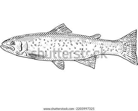 Cartoon Style Line Drawing Rainbow Trout Stock Illustration 2203997325 ...