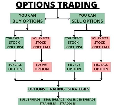 Understanding Options Through Practical Examples