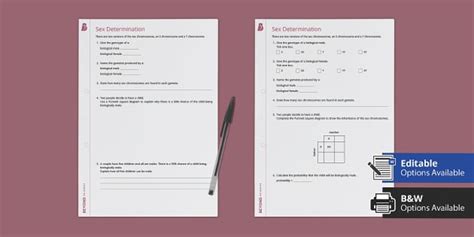 Sex Determination Worksheet L Enseignant A Fait Twinkl