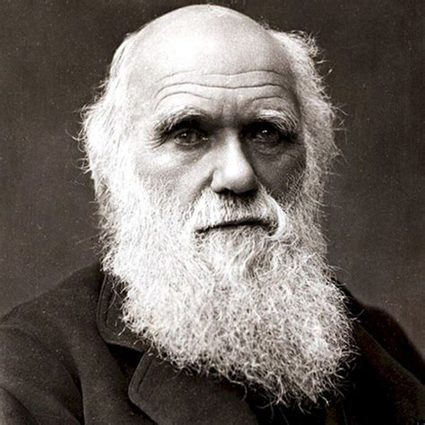 Tiểu sử Charles Darwin: "Nhà bác học không ngừng học" cha đẻ của Thuyết ...