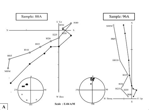 A Orthogonal And Stereographic Projection Of The Samples In Section