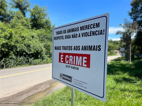 Prefeitura De Pinheiral Inicia Instala O De Placas Educativas Contra O