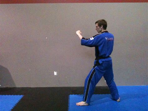 The Comprehensive Guide to Kicking, Vol #1: Taekwondo Front Kick - Martial Arts Lab