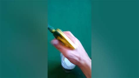 Простой способ избавиться от земляных блох в доме - YouTube