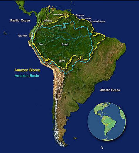 Amazon Rainforest Map In Brazil at Elaine Hudson blog