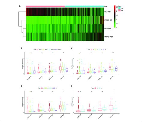 The Associations Between Four Immune Related Lncrnas And Other