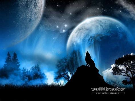 Lone Wolf Wallpapers - Wallpaper Cave