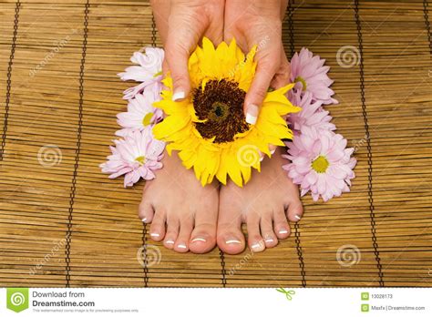 French Manicure and Pedicure Stock Image - Image of flower, bodycare ...