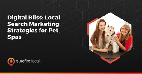 Digital Bliss Local Search Marketing Strategies For Pet Spas