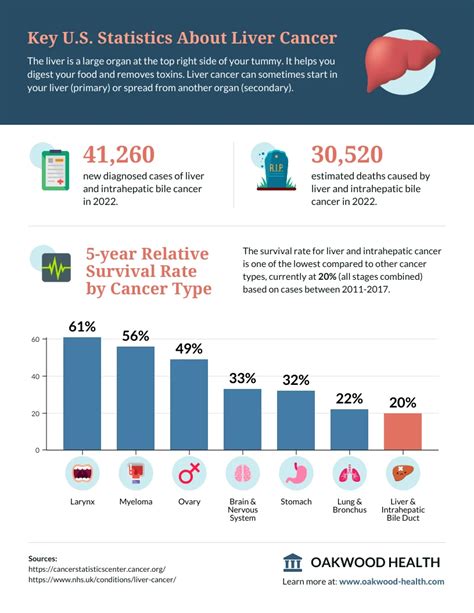 Liver Cancer Survival Rate Statistics Infographic Template Venngage