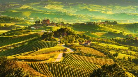 LANGHE ROERO E MONFERRATO Paesaggi Vitivinicoli Del Piemonte ViVi GREEN