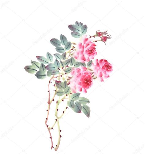 Chinese traditional painting of rose flower on white background — Stock ...