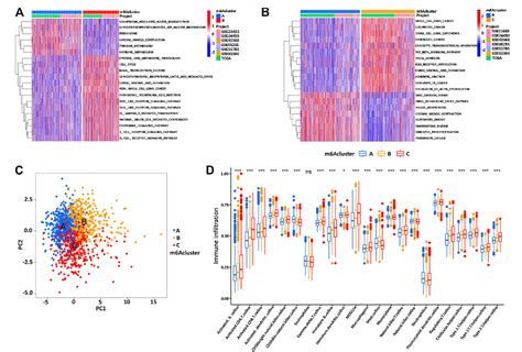 Analysis Of M A Methylation Modification Patterns And Tumor Immune