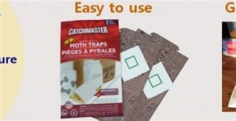 How to get rid of moths - Pantry Moth Life Cycle(part 2).