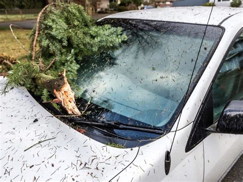 La Aemet Activa El Aviso Naranja Y Amarillo Por Fuertes Vientos En