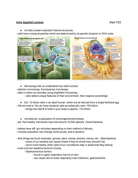 Copy Of Bio1A03 Notes Intro Applied Lecture Sept 7 All Cells Contain