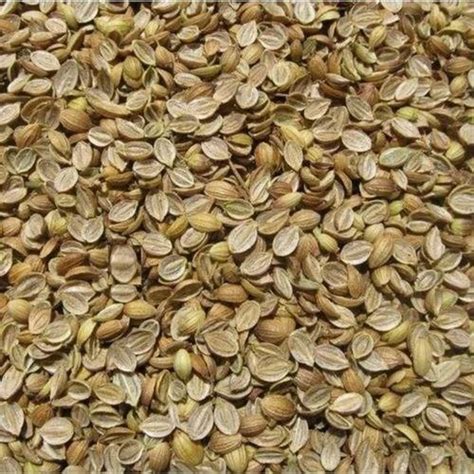 Dried Brown Organic Split Coriander Seed At In Kanpur ID 2853190079188