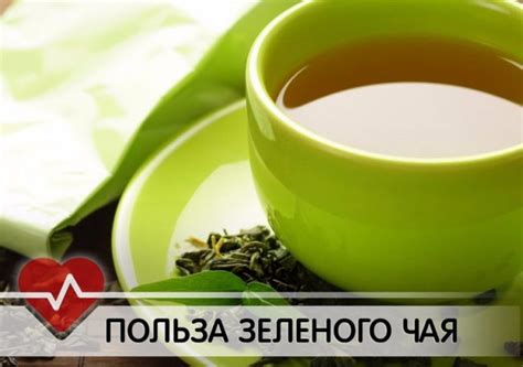 Зелёный чай с саусепом - польза и свойства