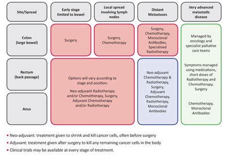 Bowel Cancer - Treatment for Bowel Cancer - The Digestive System - Year ...