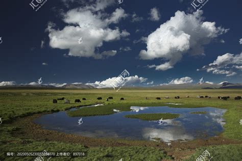 青海风光与牦牛高山丘壑自然风景摄影素材汇图网